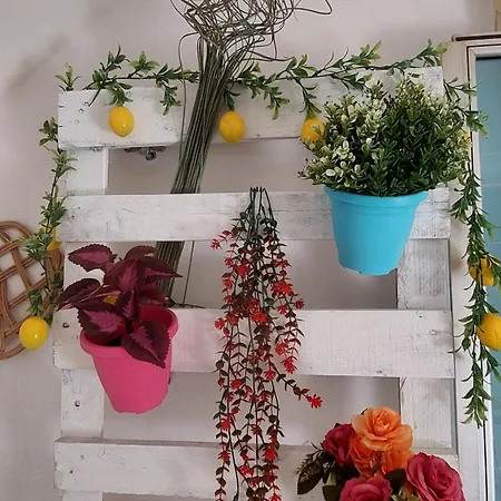 بيت ضيافة Ciuri Tuttu L'annu كاتانيا