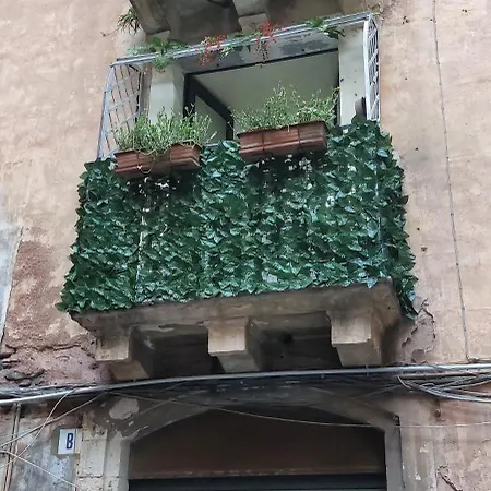 بيت ضيافة Ciuri Tuttu L'annu *