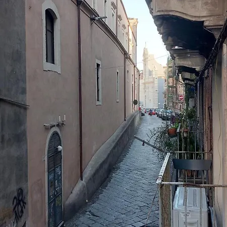 Ciuri Tuttu L'annu