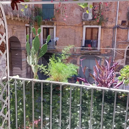Ciuri Tuttu L'annu بيت ضيافة كاتانيا